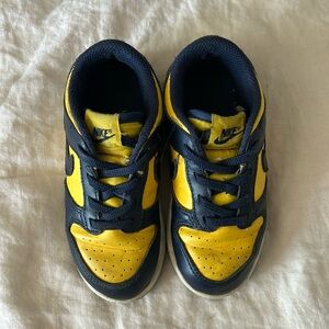 Nike kids dunk